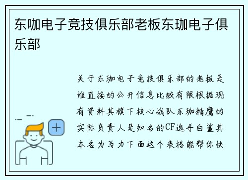 东咖电子竞技俱乐部老板东珈电子俱乐部